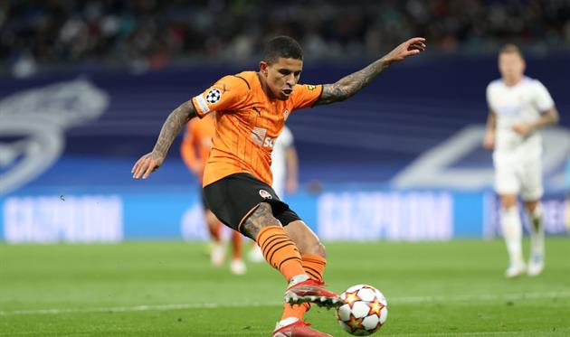 Додо, фото getty images