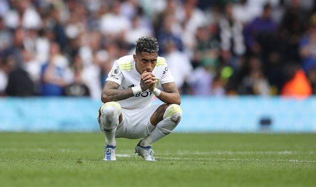 РАФІНЬЯ, GETTY IMAGES