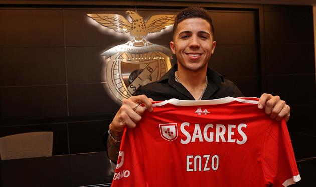 Енцо Фернандес, ФК Бенфіка