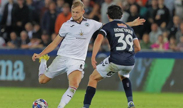 Свонсі - Міллуол, сайт Свонсі