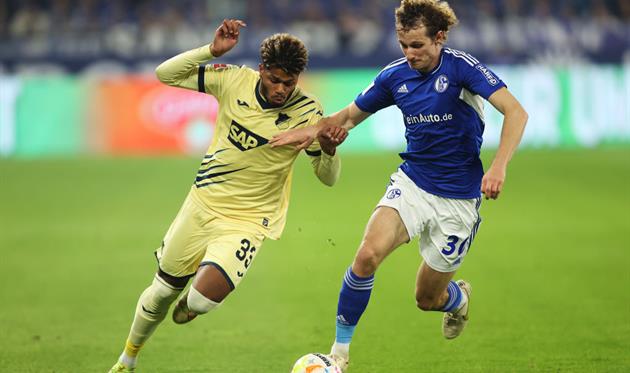 Шальке - Гоффенгайм, getty images