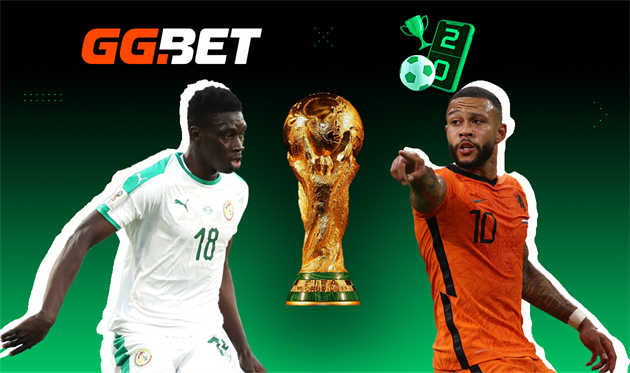 Сенегал — Нідерланди. Напередодні