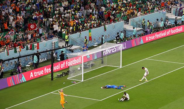 Сенегал - Нідерланди, Getty Images