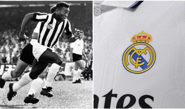 Фото Soy Referee