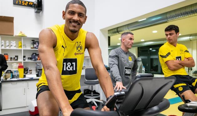  Себастьян Алле. Twitter