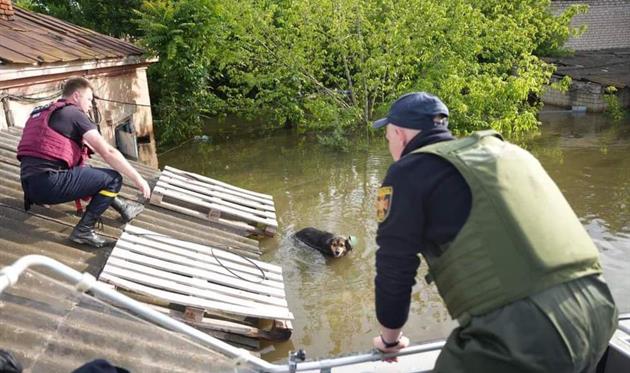 Війна, день 470. Україна та ООН домовились про евакуацію з окупованого лівобережжя Херсона