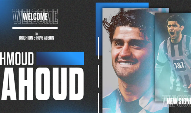 Махмуд Дауд, сайт Брайтона