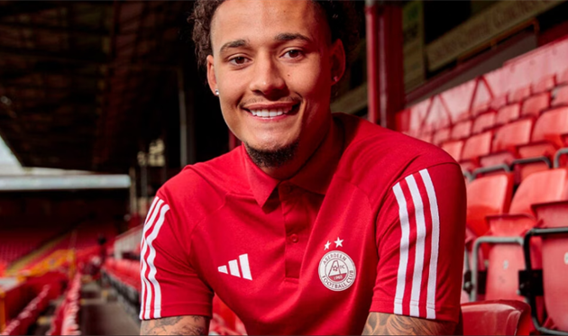 Ріс Вільямс, сайт Абердіна