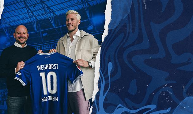 Ваут Веггорст, сайт Гоффенгайма