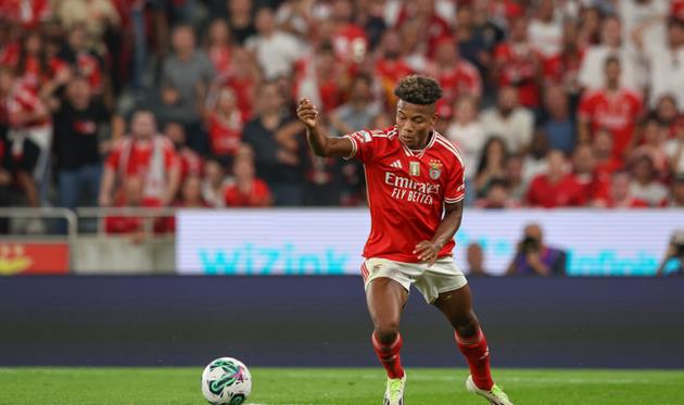 Давід Нерес, Getty Images