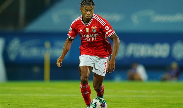 Давід Нерес, Getty Images