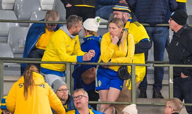 Фанати збірної Швеції на трибунах, getty images