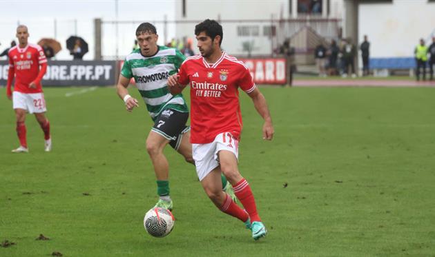 Лузітанія - Бенфіка, фото гостей