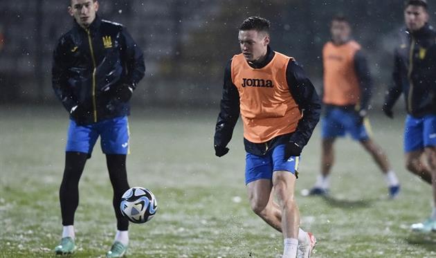 Віктор Циганков, УАФ