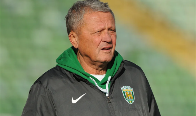 Мирон Маркевич, Карпати