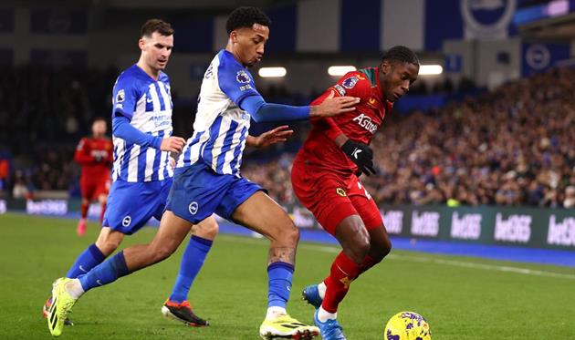 Брайтон - Вулвергемптон, Getty Images