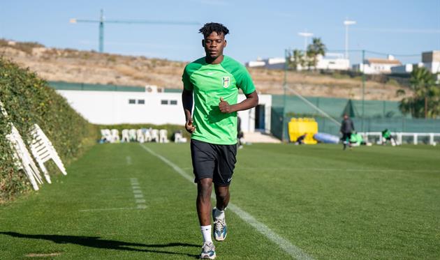 БорельТомандзото, Полісся