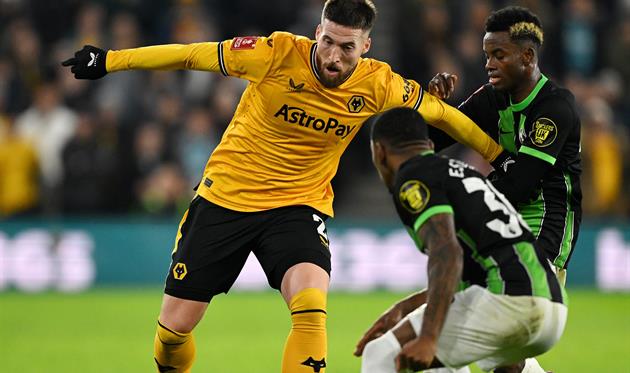 Вулвергемптон - Брайтон, Getty Images