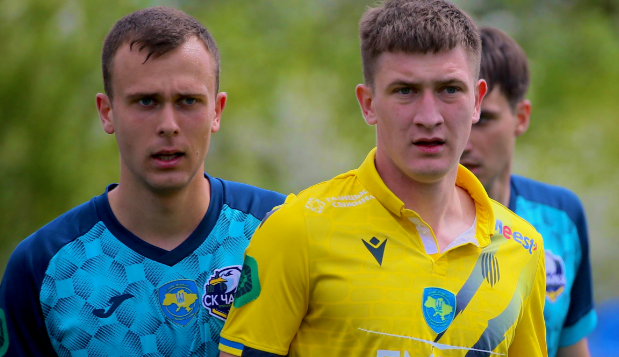 Фото - Чайка