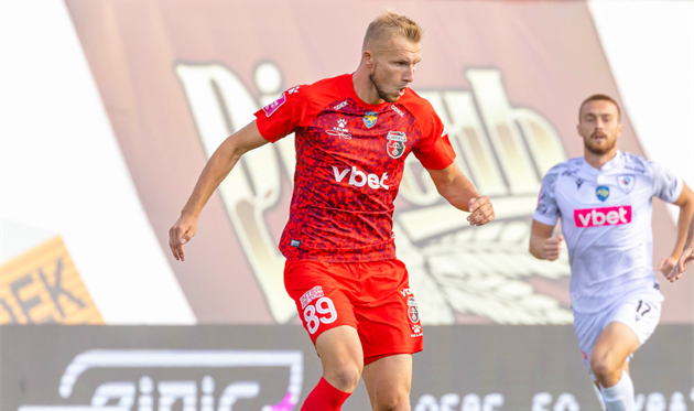 Микола Гайдучик, УПЛ