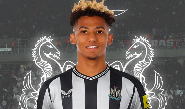 Ллойд Келлі, Колаж Фабріціо Романо