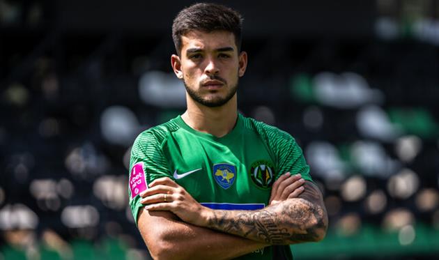 Віалле, фото Полісся