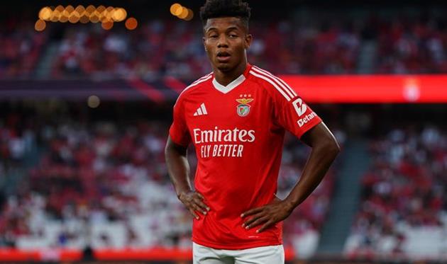 Давід Нерес, Getty Images