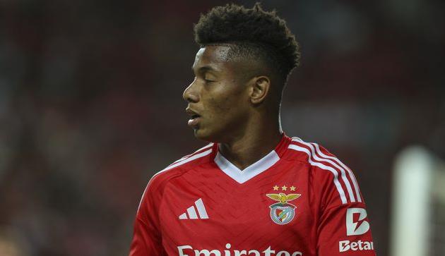 Давід Нерес, Getty Images