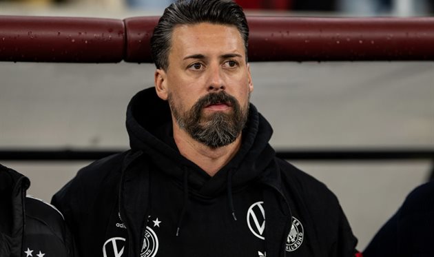 Sandro Wagner, getty images