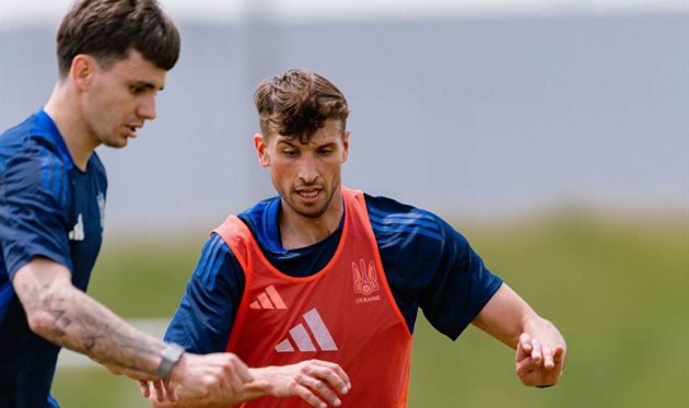 Микола Шапаренко та Євген Чеберко, УАФ