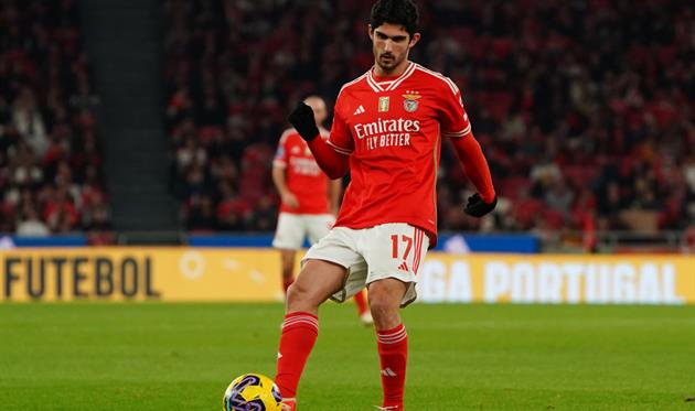 Гонсалу Гедеш, Getty Images