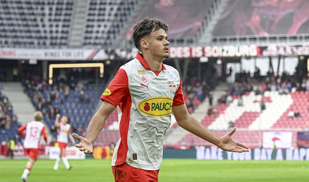 Kerim Alajbegovic, getty images