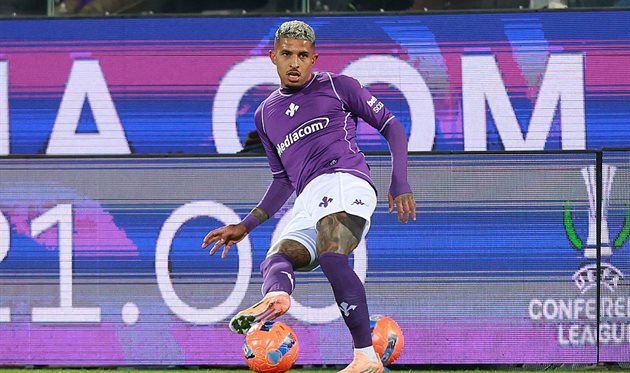 Додо, getty images