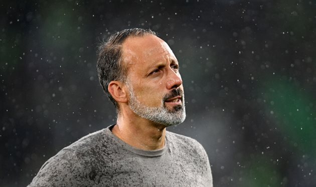 Pellegrino Matarazzo, getty images