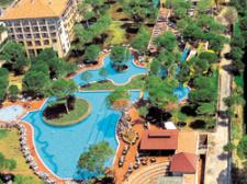 Место дислокации