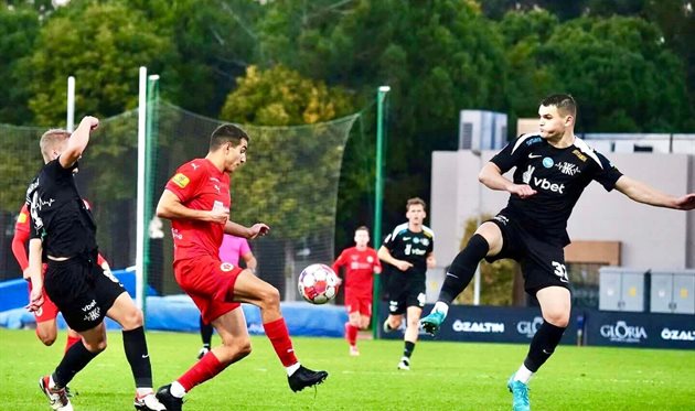 Колос, фото Колос