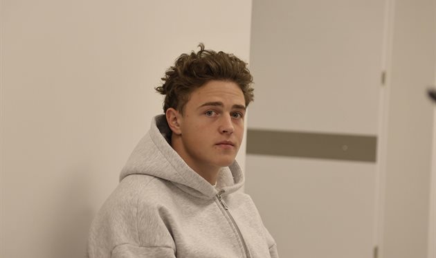 Владислав Герич, ФК Динамо Київ