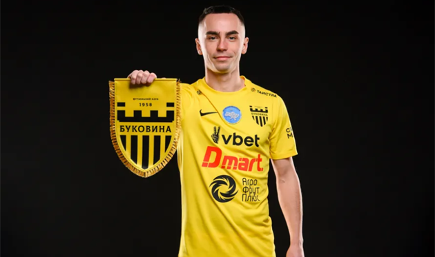 Ільїн, Буковина