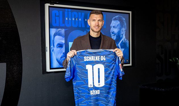 Едін Джеко, ФК Шальке