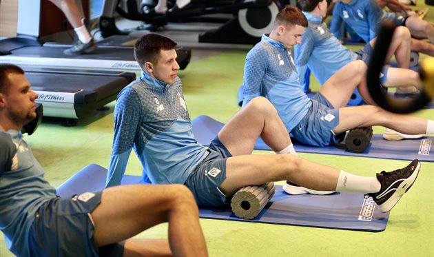 Олександр Піхальонок, ФК Динамо Київ