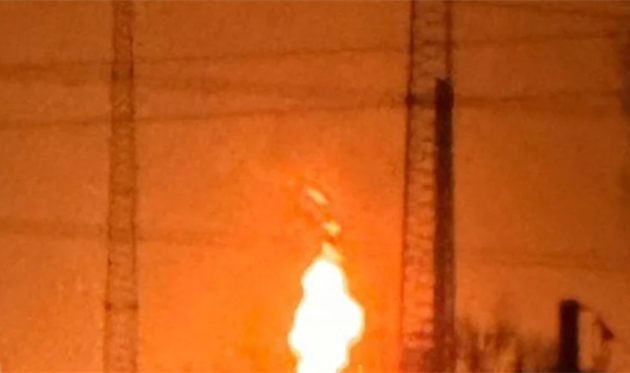 Telegram-канал Exilnova