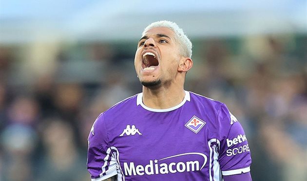 Додо Getty Images