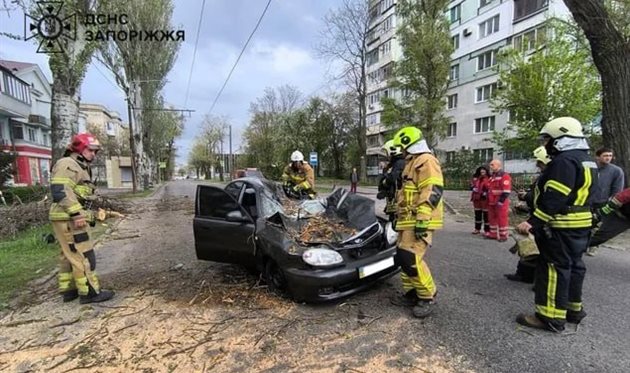 Автівка, на яку впало дерево, ДСНС Запоріжжя