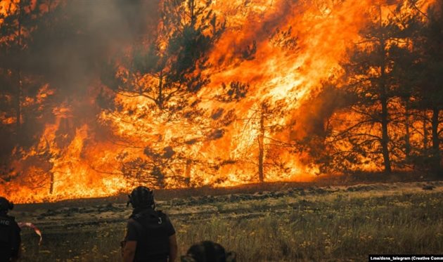 На Чернігівщині на кордоні з РФ через обстріли горить 2400 гектарів лісу, getty