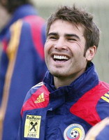 Адриан Муту, АР