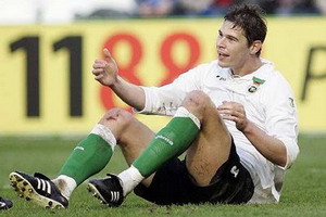 Никола Жигич