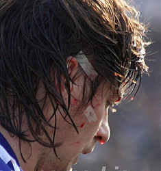 Фото ФК Динамо 