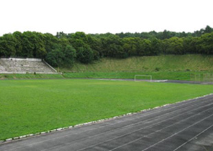 Стадион Скиф, ochu.com.ua