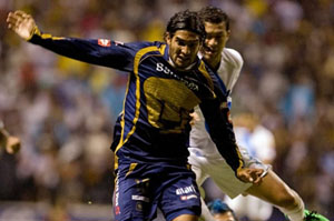 Браво, Мартин Браво!