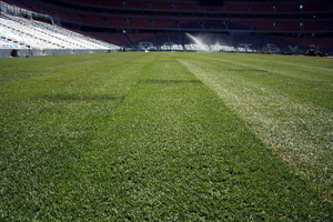 фото ФК Шахтер